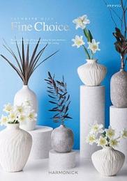 ファインチョイス アクアマリンの商品画像