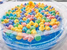 カラフルアヒルすくいどり大会100名様(ラストワン付)の商品画像