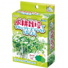 てのひら実験室.ブロッコリースプラウトを育てようの商品画像