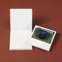 あぶらとり紙(白紙)　クジャクP　100枚入の商品画像