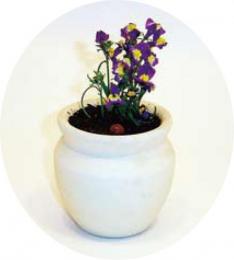 美濃焼 フラワーガーデン栽培セットの商品画像