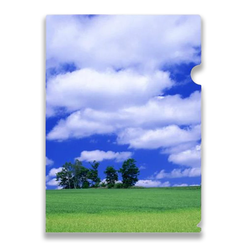 クリアファイル 