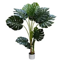 植物・グリーン