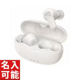 JVCケンウッド ワイヤレスイヤホン HA-A20T-W ホワイト